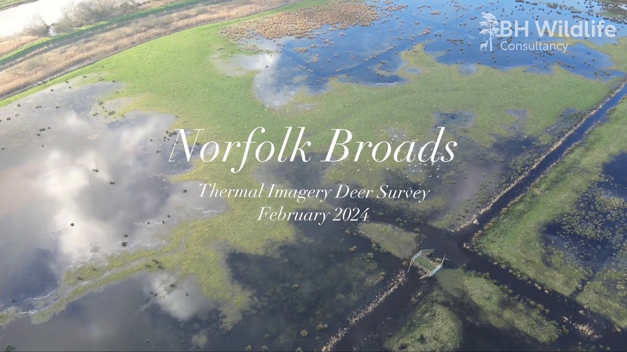 Norfolk Broads - February 2024