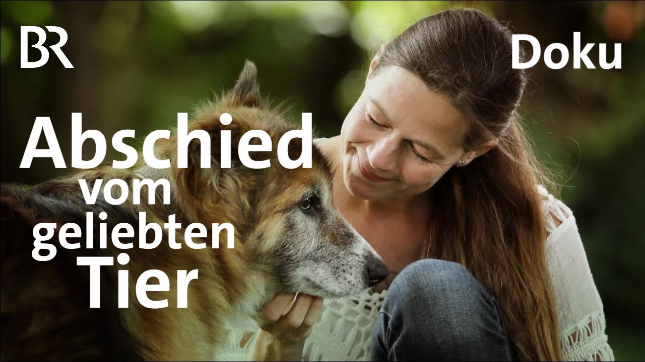 Abschied vom geliebten Tier: Viele Tränen in der Villa Abendsonne | Echtes Leben | Doku | BR