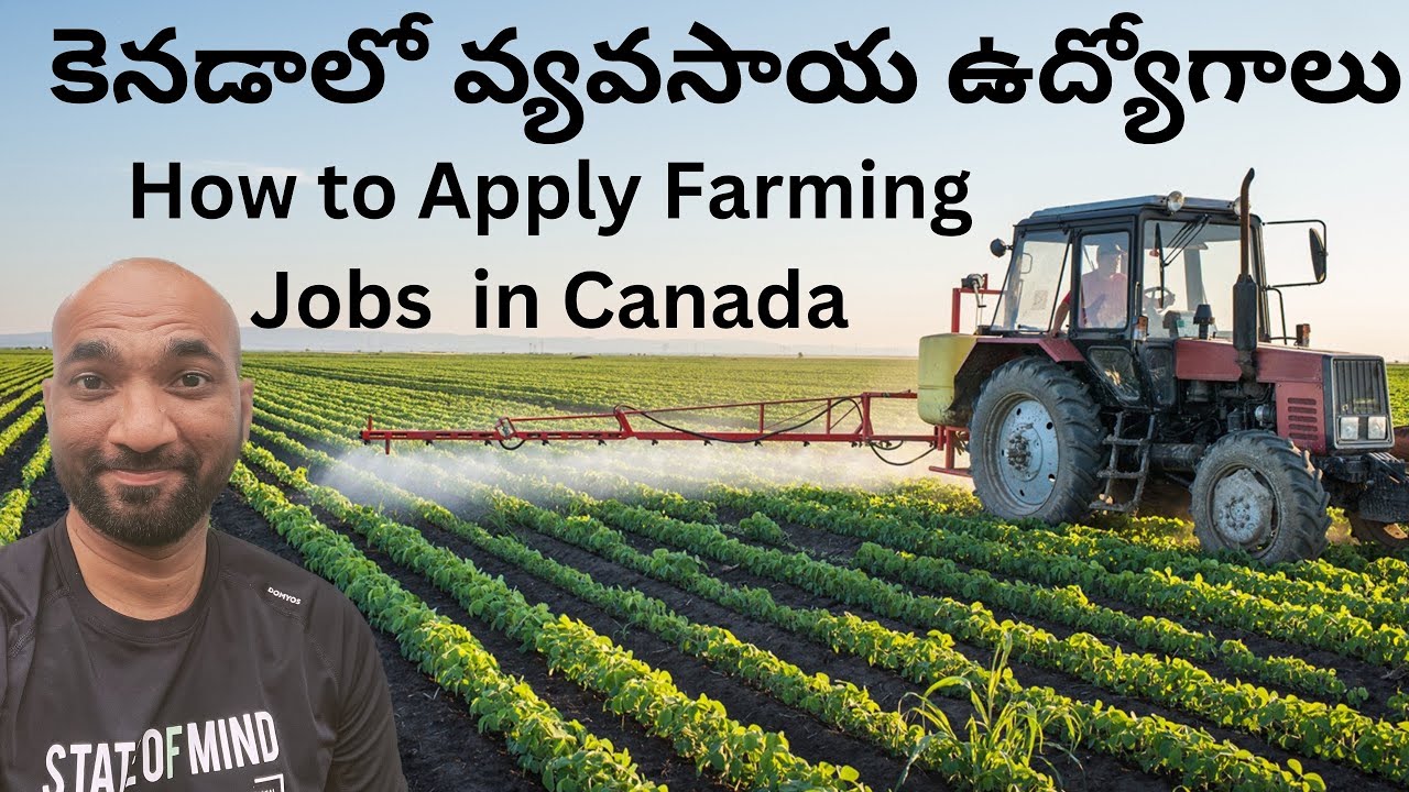 Telugu Vlog #40 || 🌾 How to Apply Agriculture and Farming Jobs in Canada 🇨🇦 | Ultimate Guide 2023