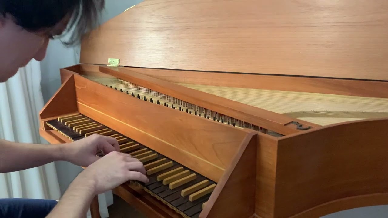 Sonata K. 100 - D. Scarlatti | Pedro Zanatta, harpsichord (spinet)