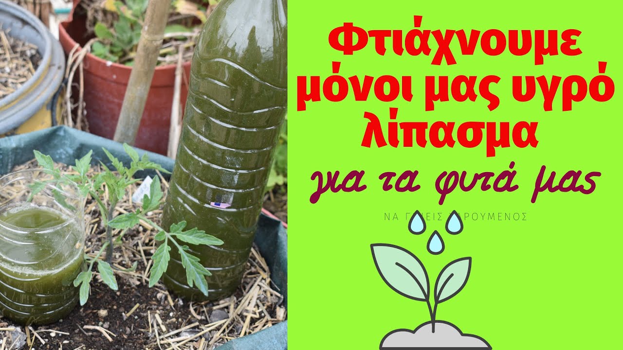 Φτιάχνουμε υγρό λίπασμα για τα φυτά μας εντελώς δωρεάν