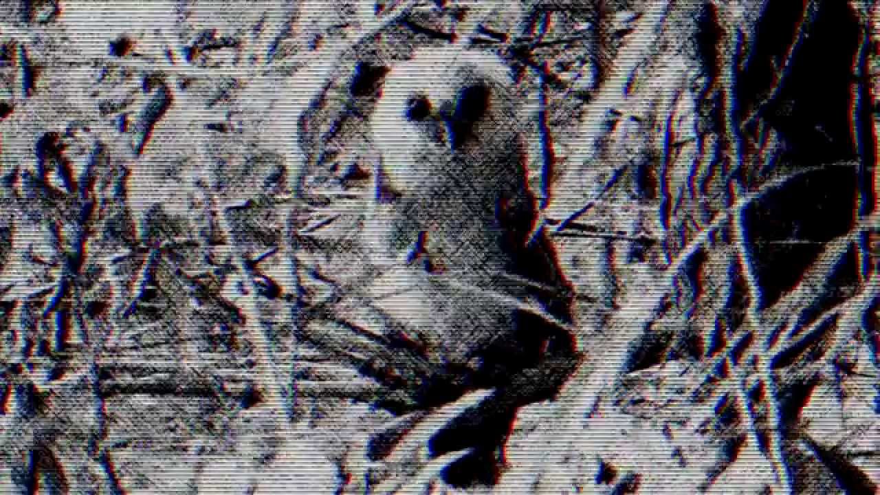 El Extranjero  -Billetes Falsos- (VIDEOCLIP)  NJS PROD.