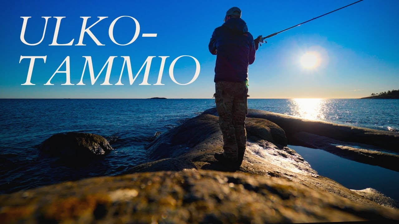 Ulko-Tammio 11/2020