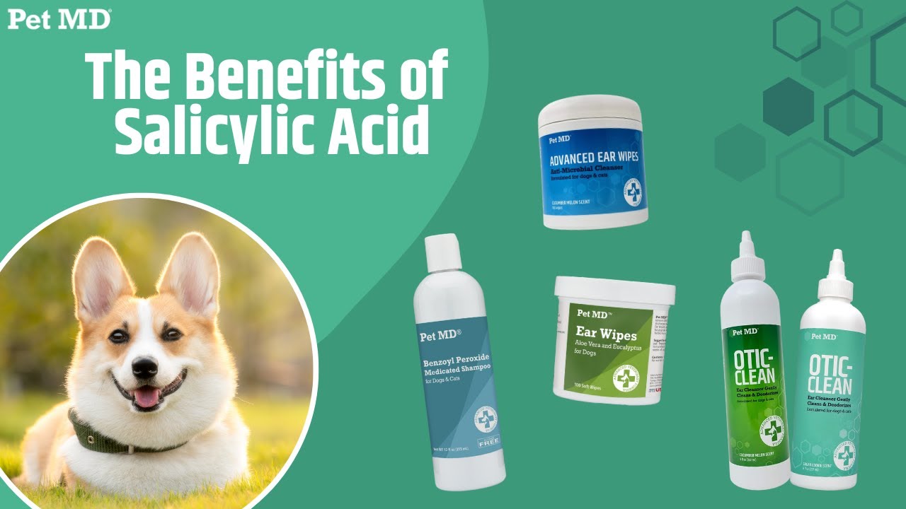 What Is Salicylic Acid and How Does it Help Your Pets?