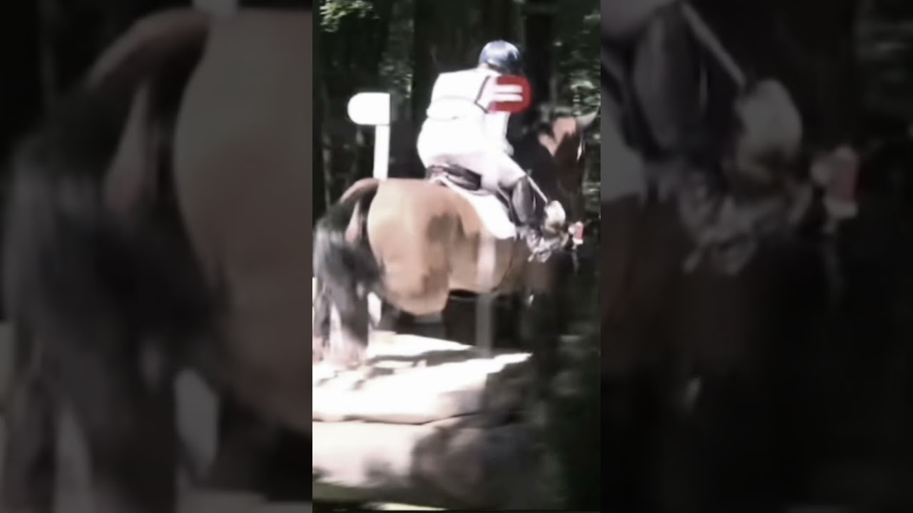 I&rsquo;m so sorry for bad quality 😭 | tags: #horse #horsejumping #crosscountry