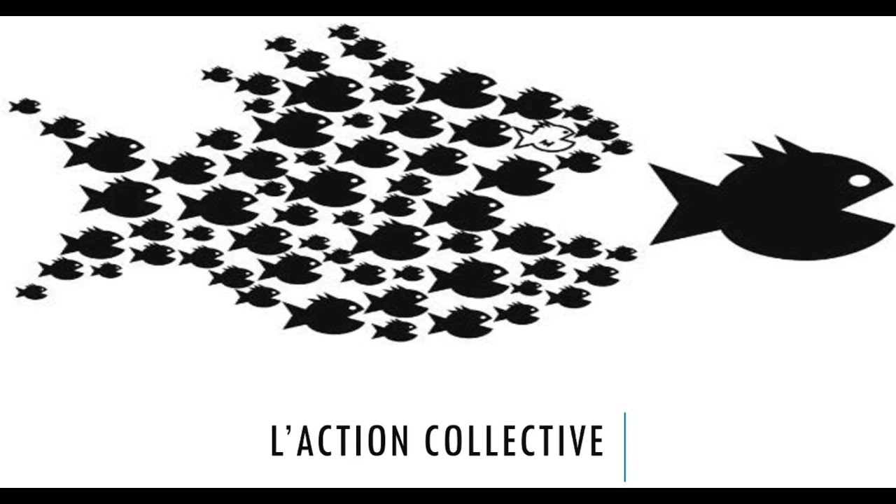 [MANA]- L'action collective