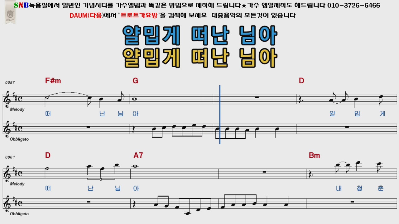 배호 배신자
