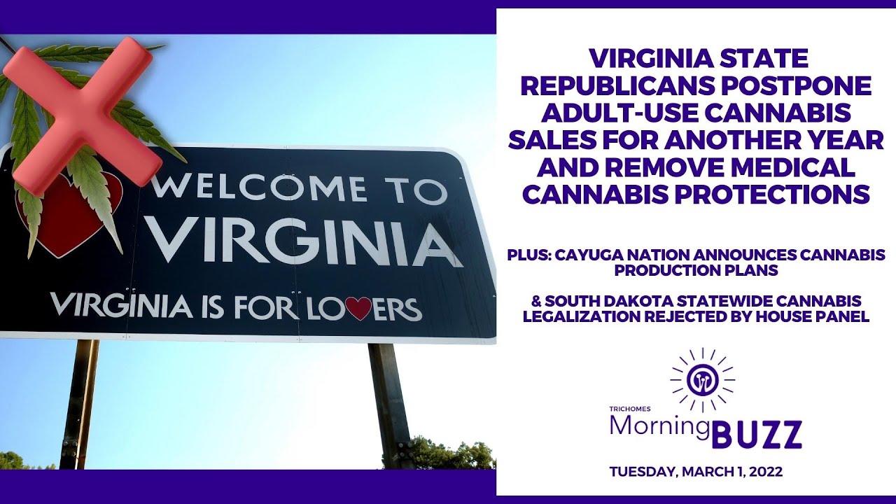 Virginia GOP Postpones Cannabis Sales For Another Year And Remove Medical Cannabis Protections