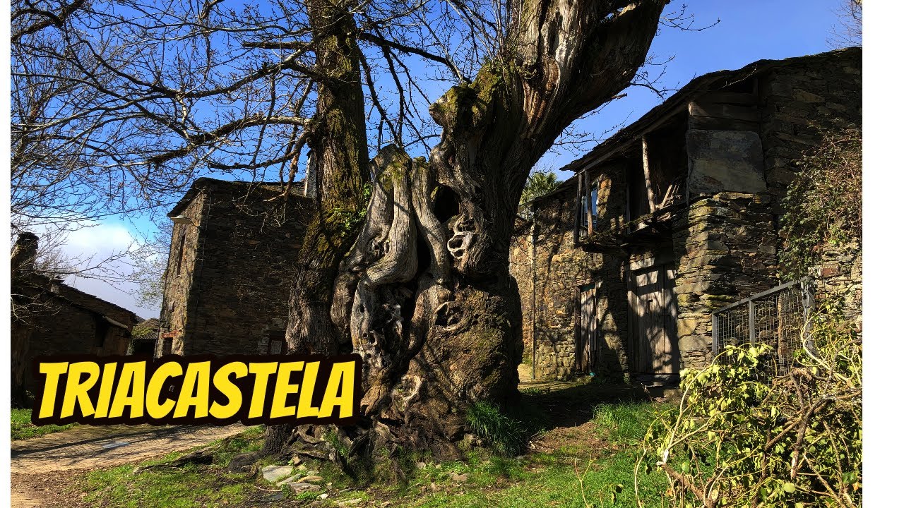 Triacastela - Montelora Adventure