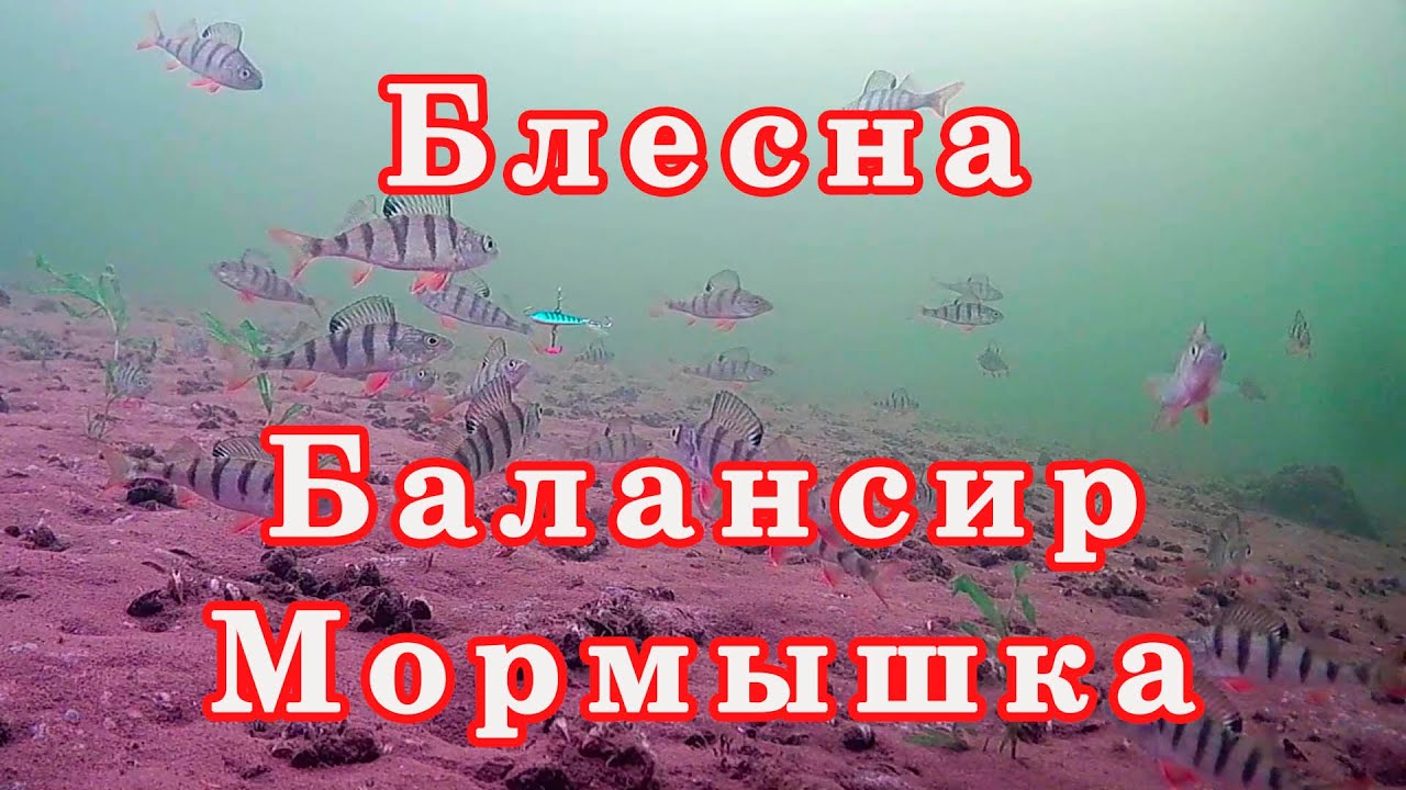 Что лучше! Блесна, Балансир или Мормышка. Зимняя рыбалка. Ловля окуня зимой.