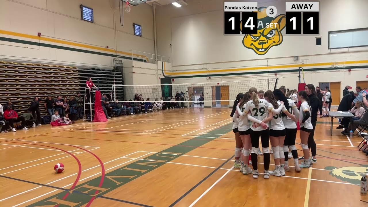 U14 Pandas Kaizen vs. Vibe Auger