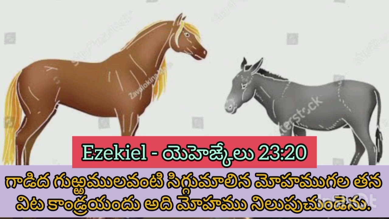 #Ezekiel - యెహెఙ్కేలు&nbsp;23:20-21 #telugubible #biblereading #telugubibleaudio