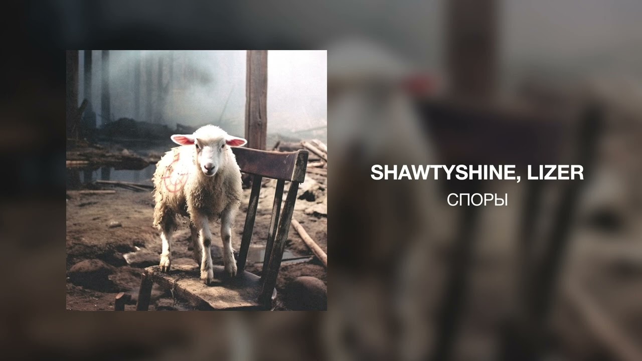 ShawtyShine, Lizer - СПОРЫ