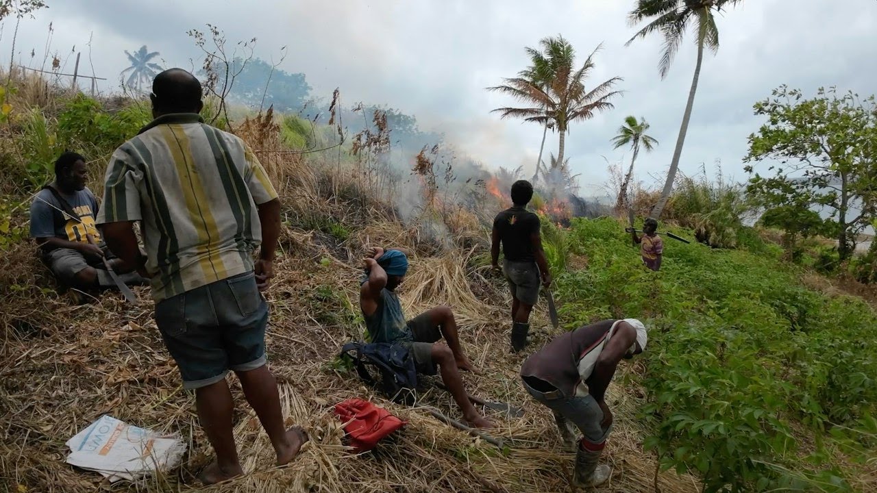 Preparing The Sweet Potato Farm For The New Village Priest✞🇫🇯