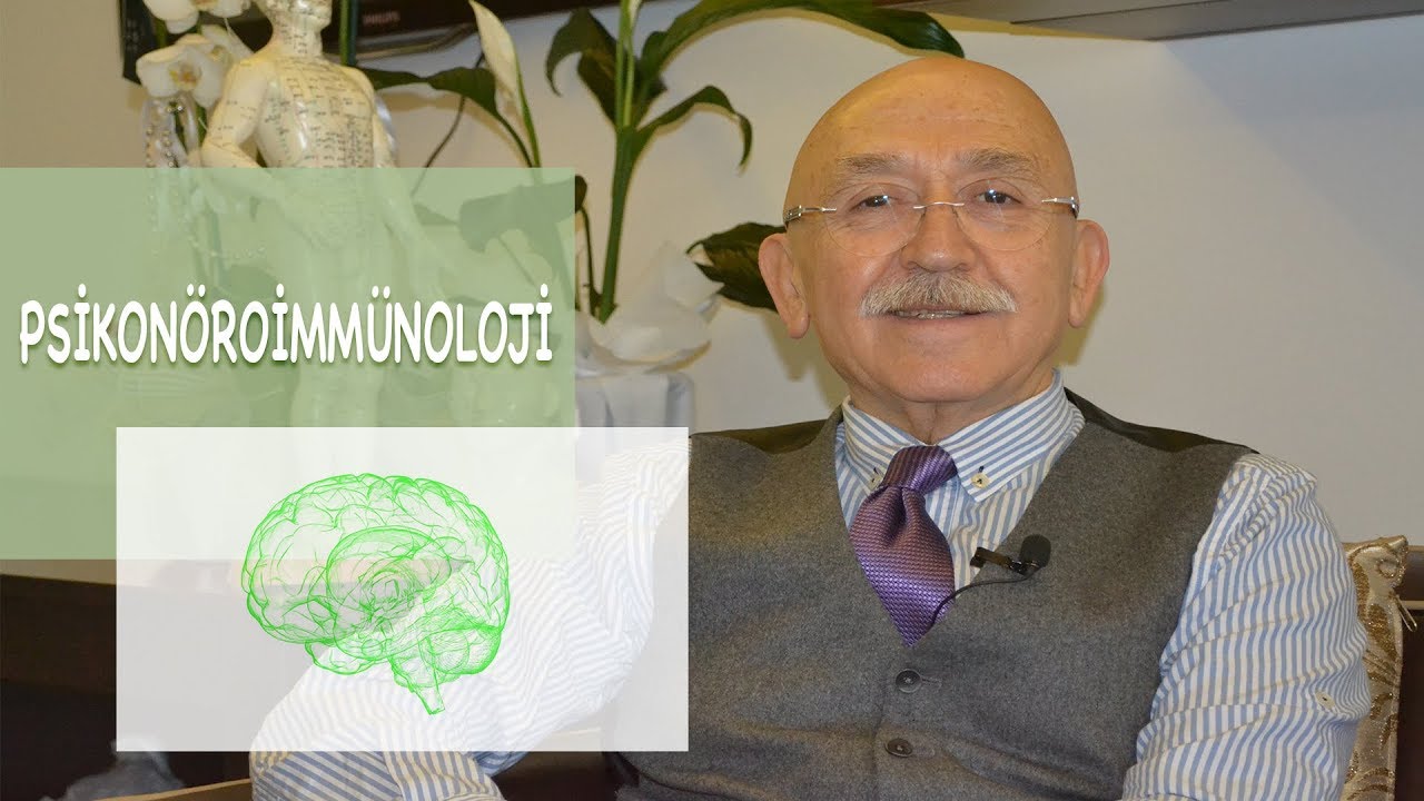 Psikonöroimmünoloji (PNI) Nedir? Ruh, Sinir ve Bağışıklık Sistemi