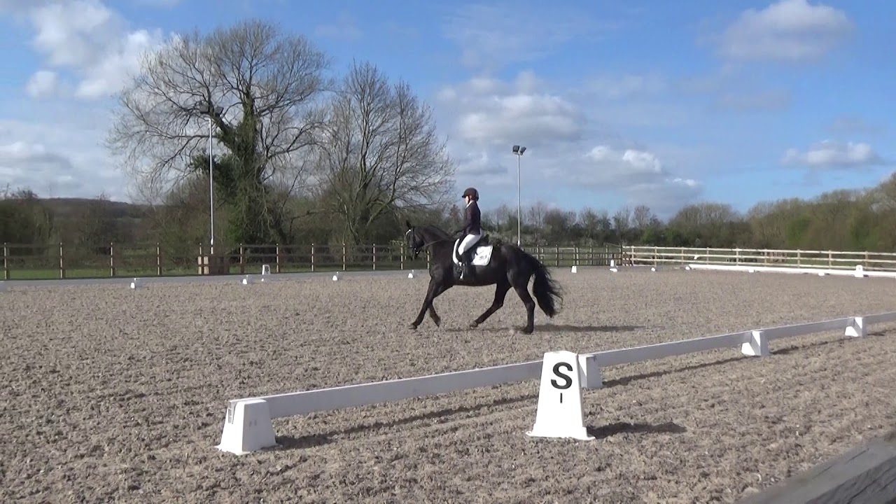 Prelim 19 - 74.56% Full Winning Dressage Test