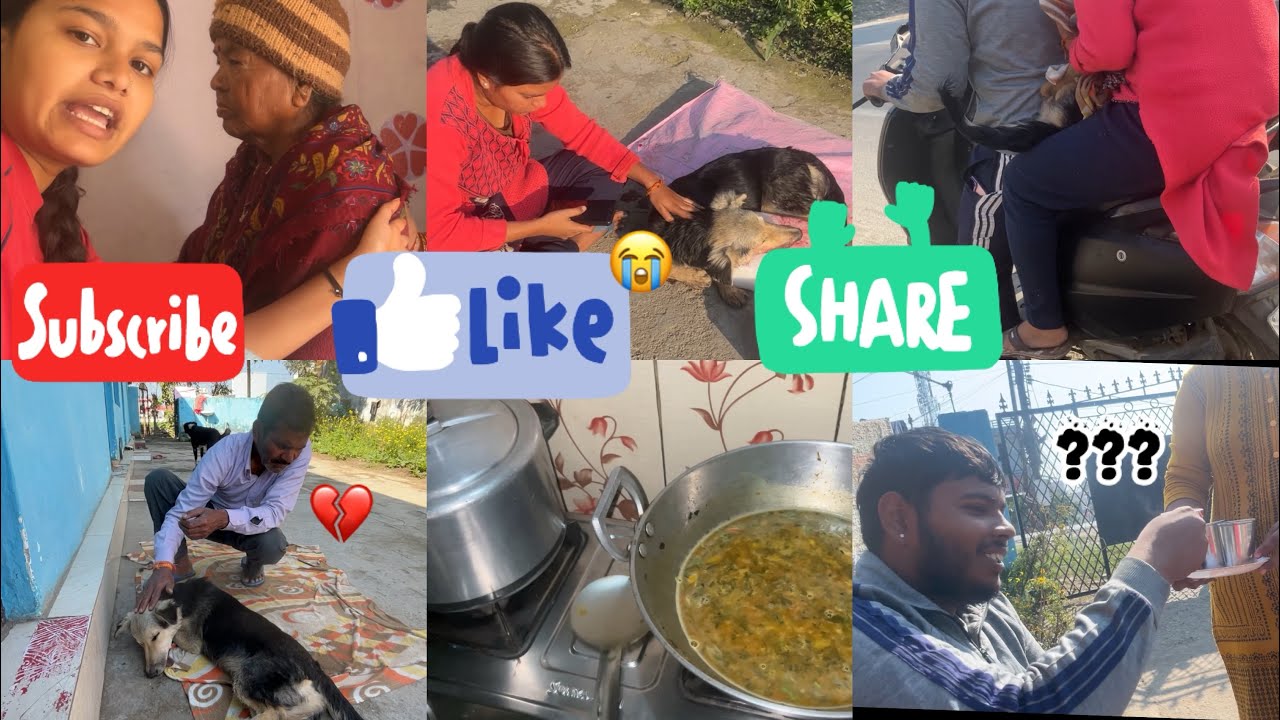 “Please pray for Chikku 🙏 uska bahut bura accident ho gaya” 😭❤️‍🩹