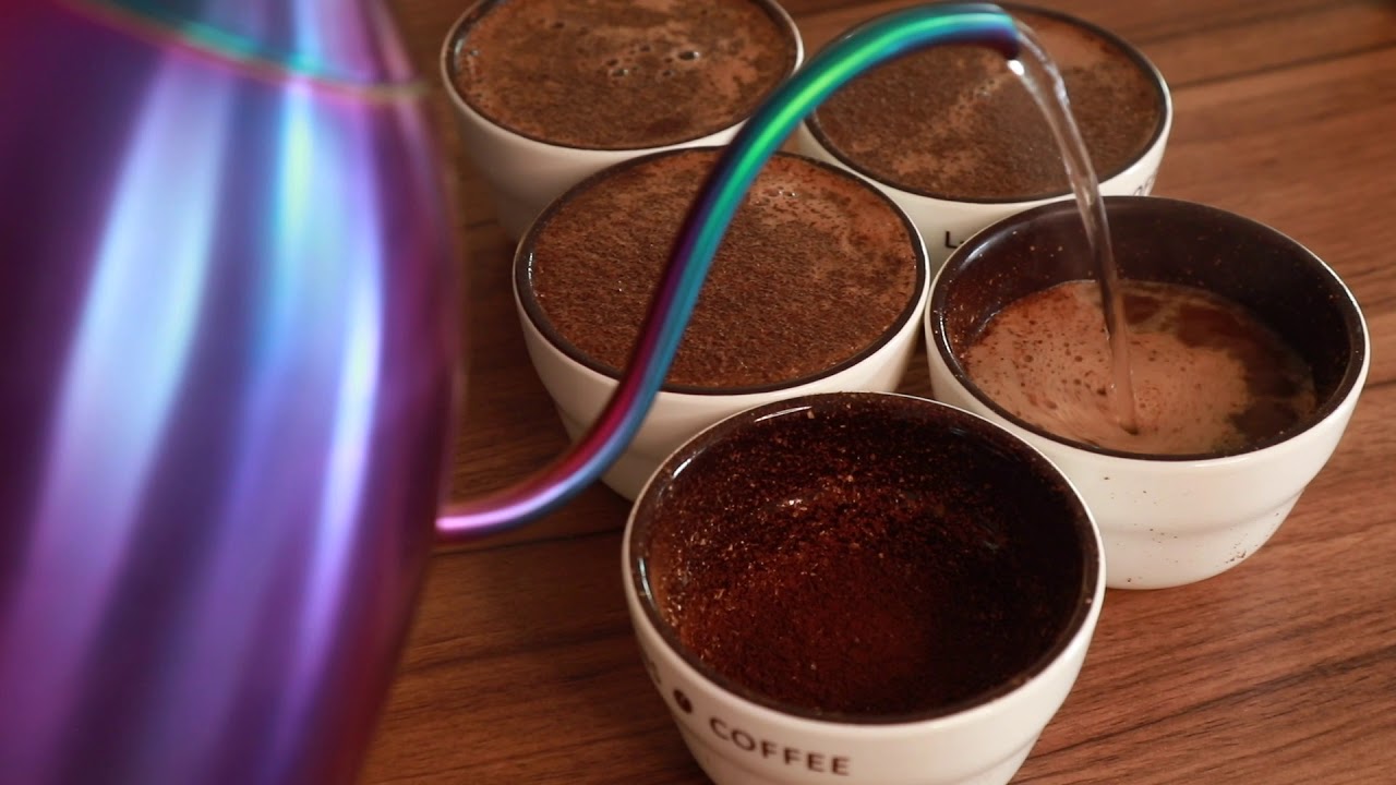 Cupping & SCA protocols