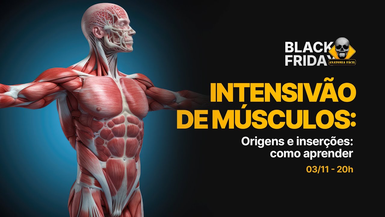 Black Friday Vitalícia - Intensivão de Músculos: Origens e inserções | Origens e Inserções