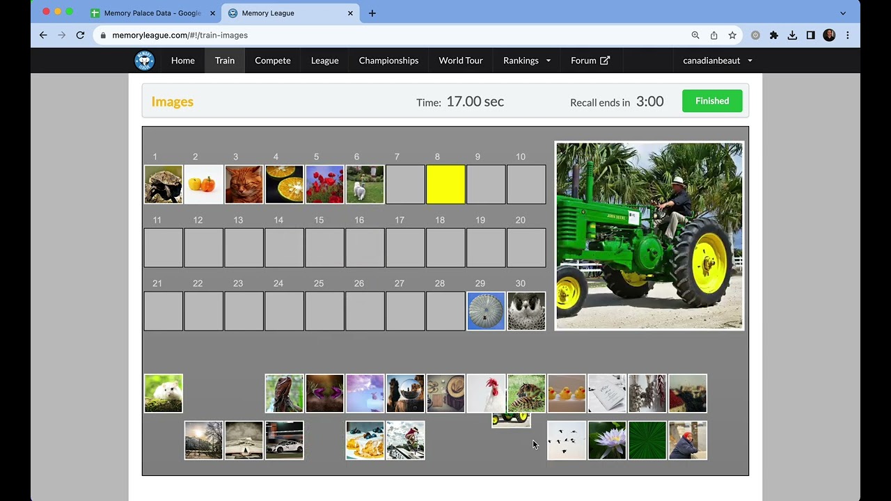 Memory league - Images 30 images in 17 seconds
