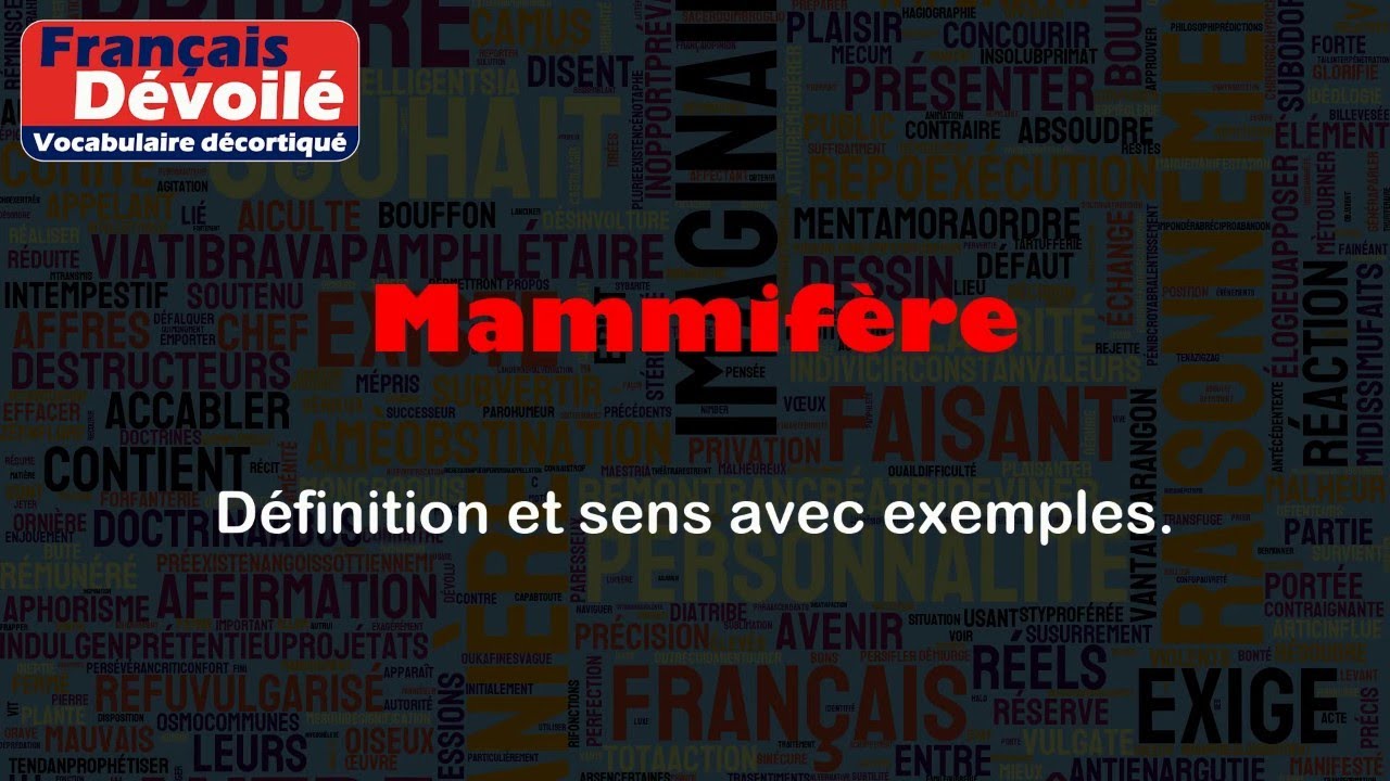 Mammif&egrave;re