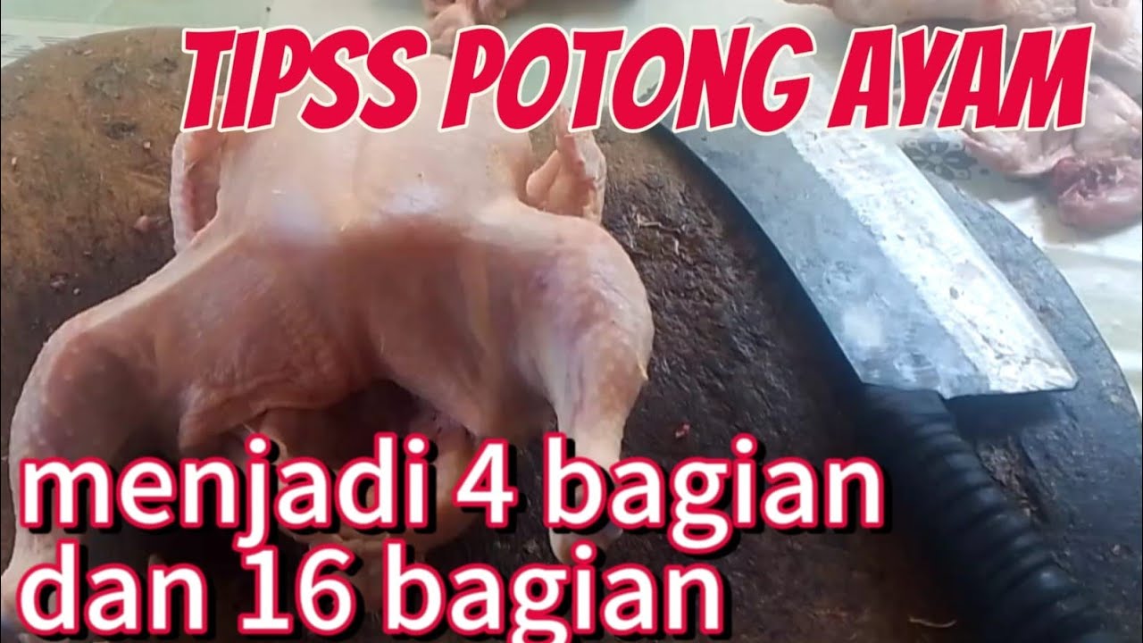 tips memotong ayam menjadi  4 dan 16 bagian.mudah sekali pemula pasti bisa.