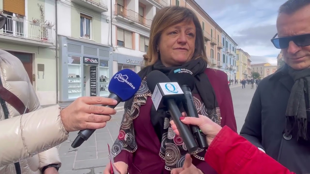 Interviste volantinaggio per il No