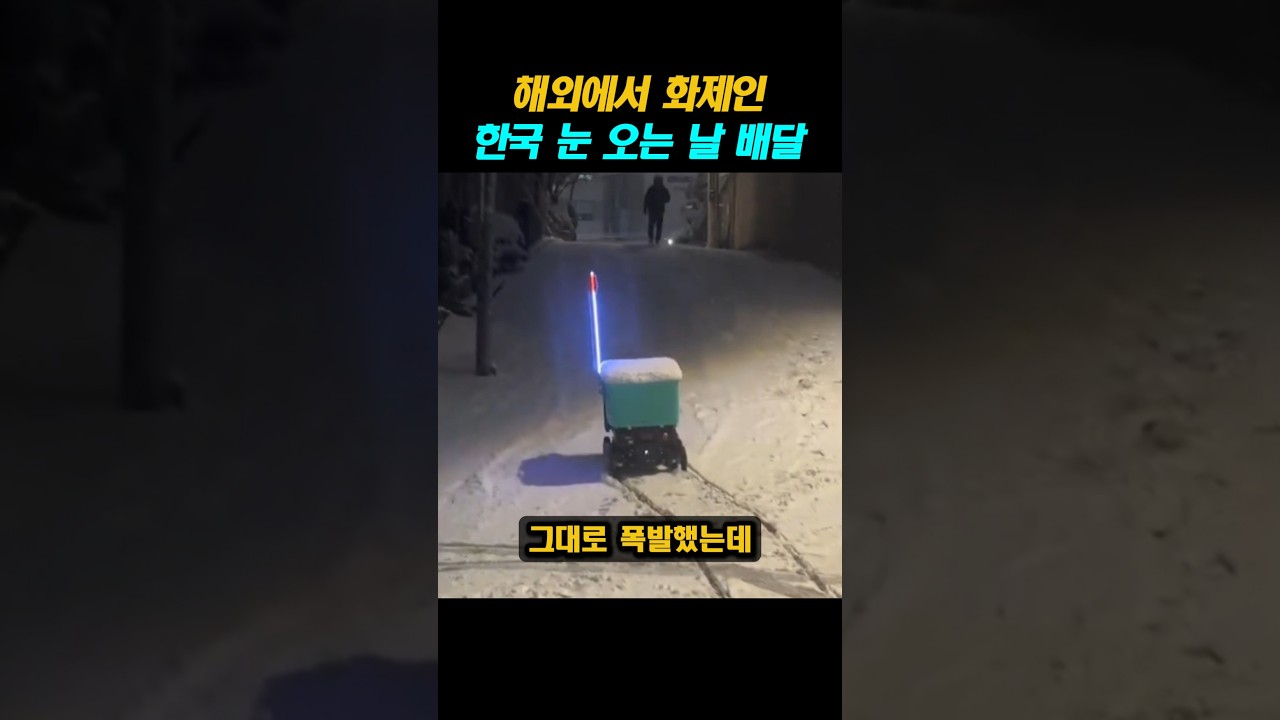 해외에서 화제인 한국의 눈 오는 날 배달