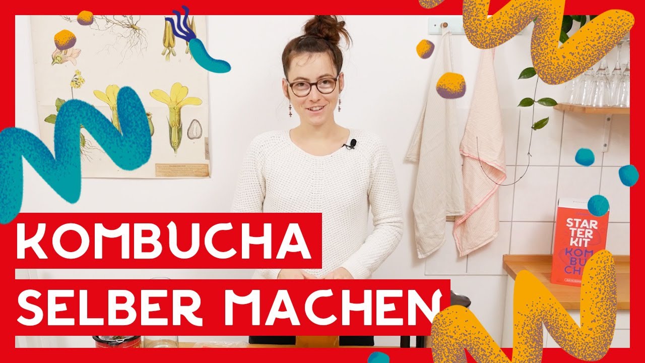 Kombucha selber machen 🍹 I DIY schnell und gesund I Brew it yourself!
