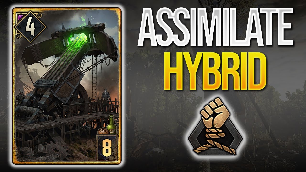 Gwent | NILFGAARD ASSIMILATE/TACTICS HYBRID 10.3