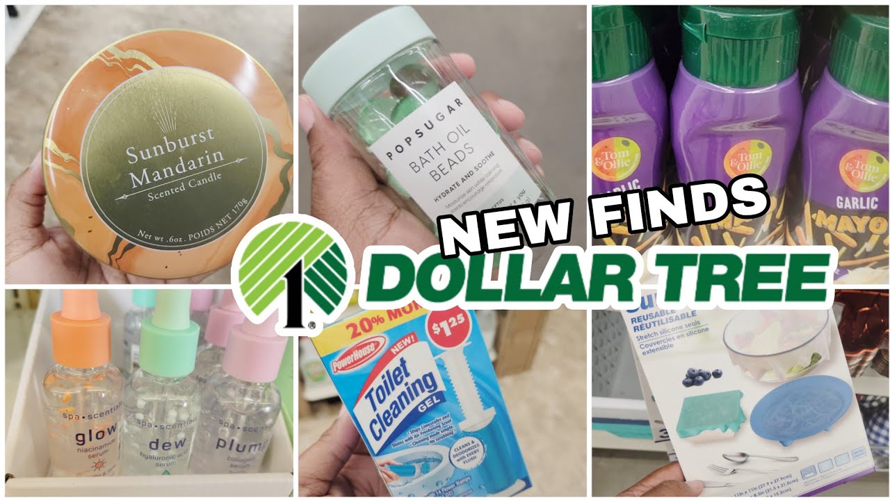 NEW NEVER SEEN BEFORE DOLLAR TREE FINDS😱