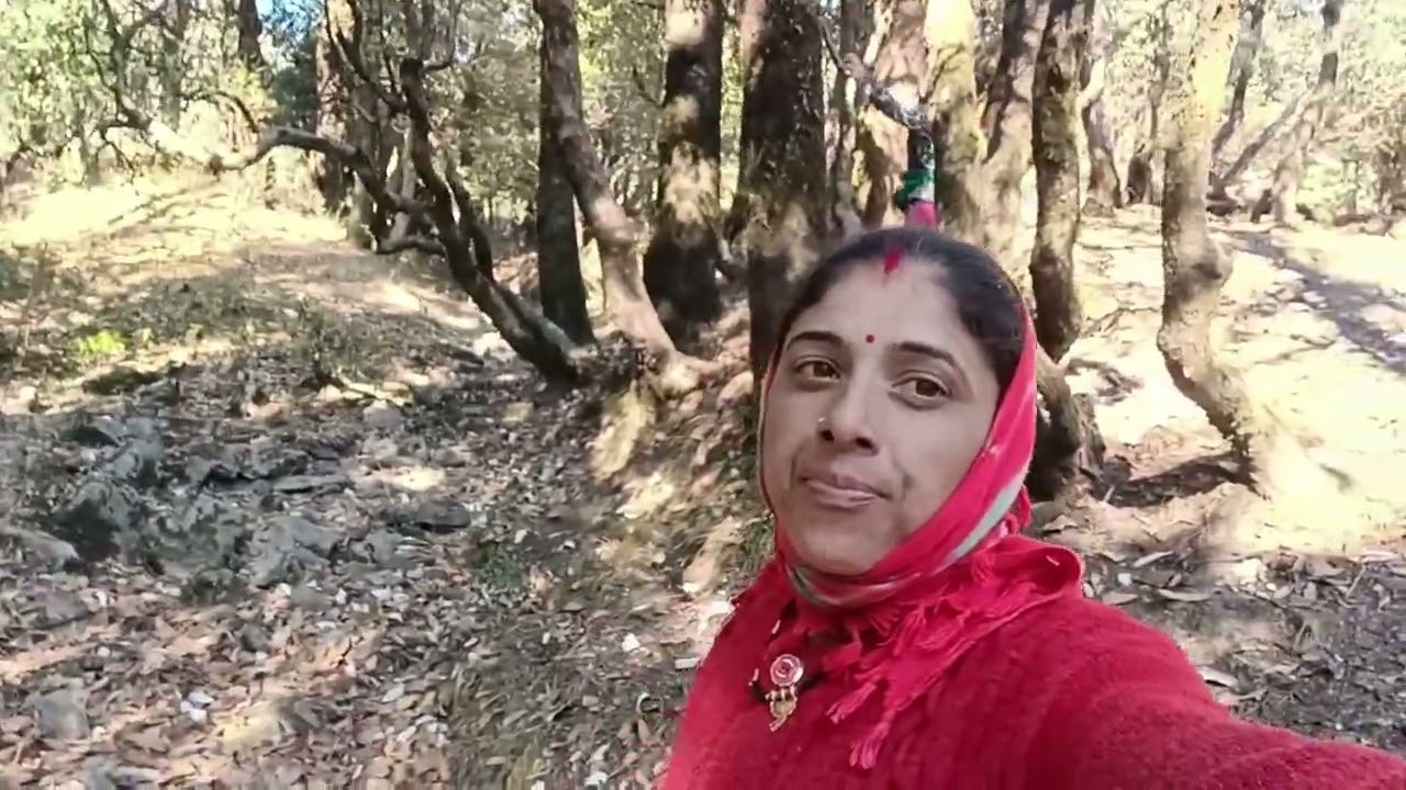 आज जंगल #sarlavlogsa #devbhumi #uttrakhand 