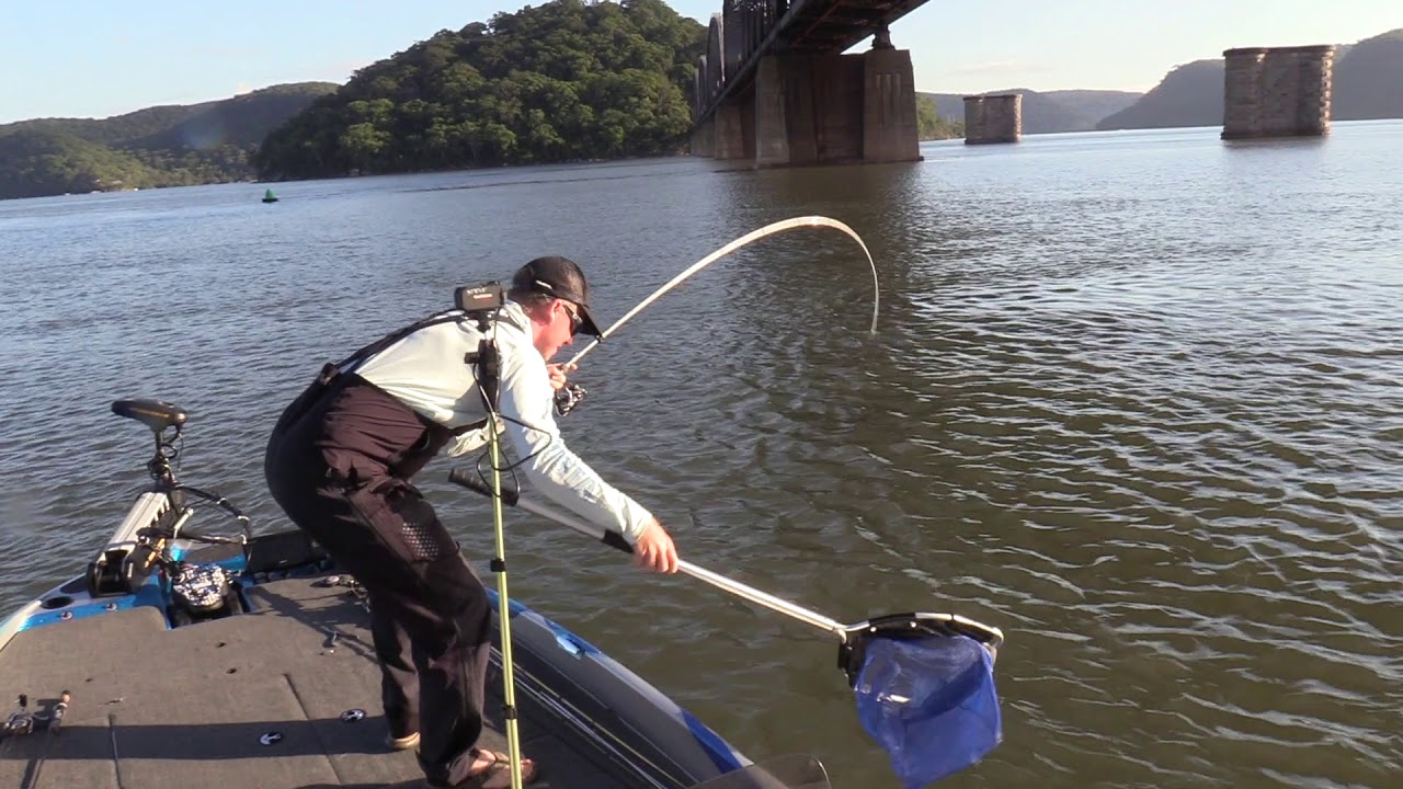 How to | Crankbait Bridges | Steve Morgan Australian BREAM Open Highlights Day 2 -  Hawkesbury
