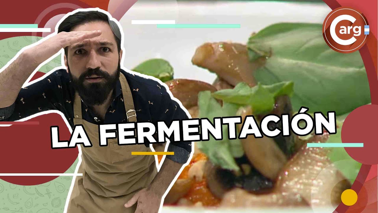 Fermentos en la cocina: ¿Cómo hacer yogurt casero? - Cocineros Argentinos