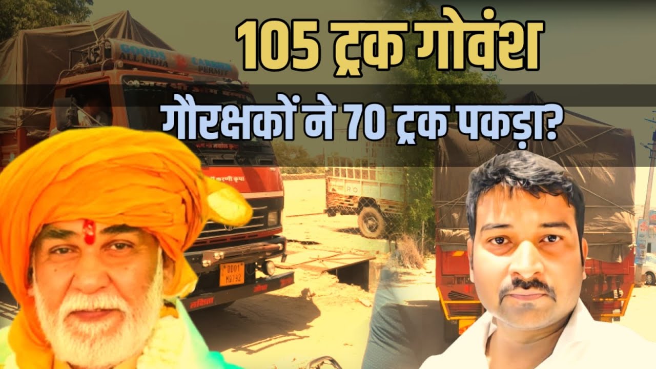 Gau rakshaks confiscated 70 out of 105 trucks of cow | Devendra Pandey | New Video 2025