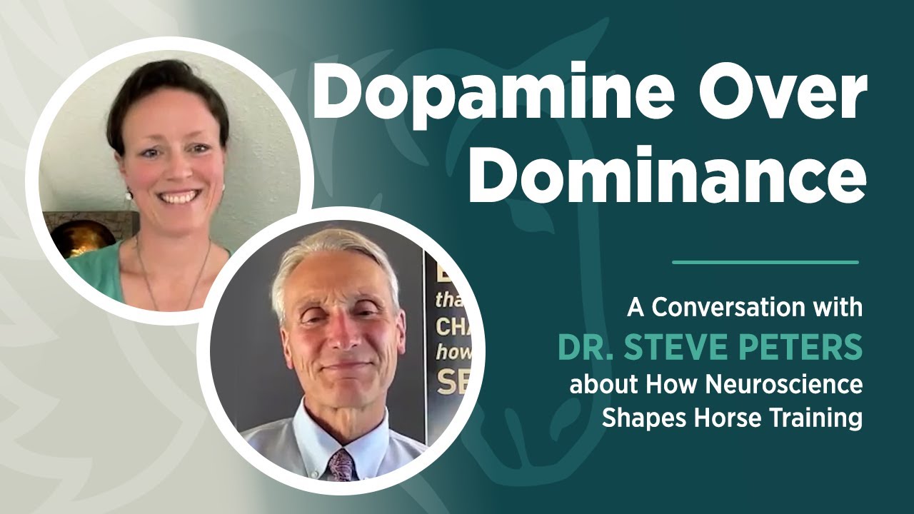 Dopamine Over Dominance: How Neuroscience Shapes Horse Training &ndash; Dr. Steve Peters & Nancy Heiber