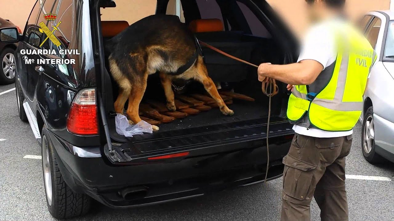 Op.Sorgin. Operaciones de la Guardia Civil. Navarra