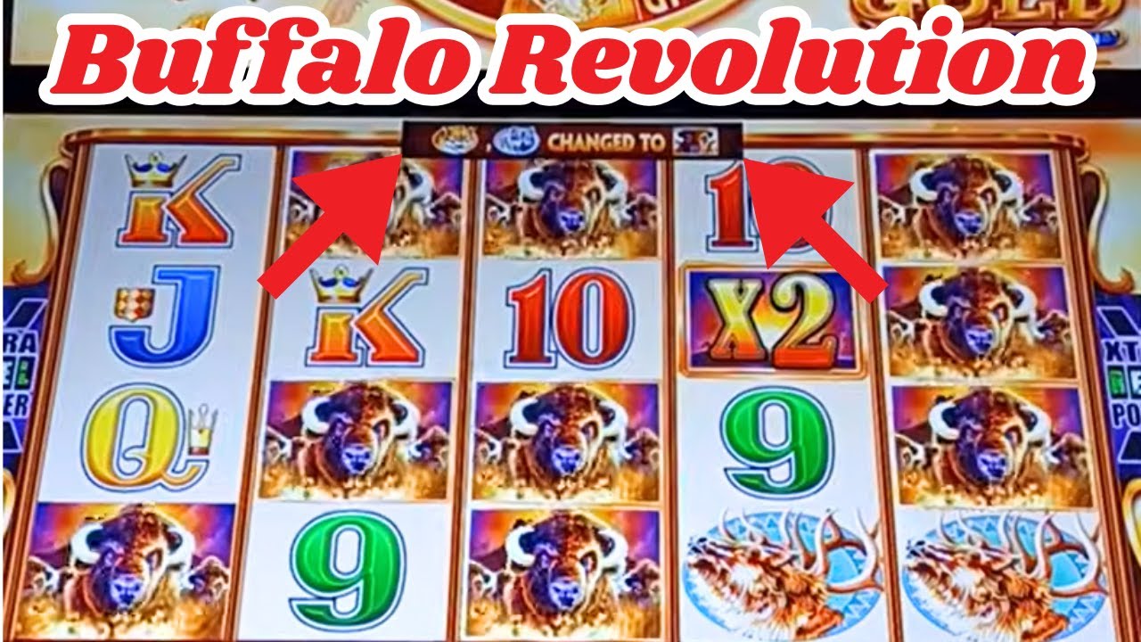 Buffalo Gold Revolution Live Play Animal Change