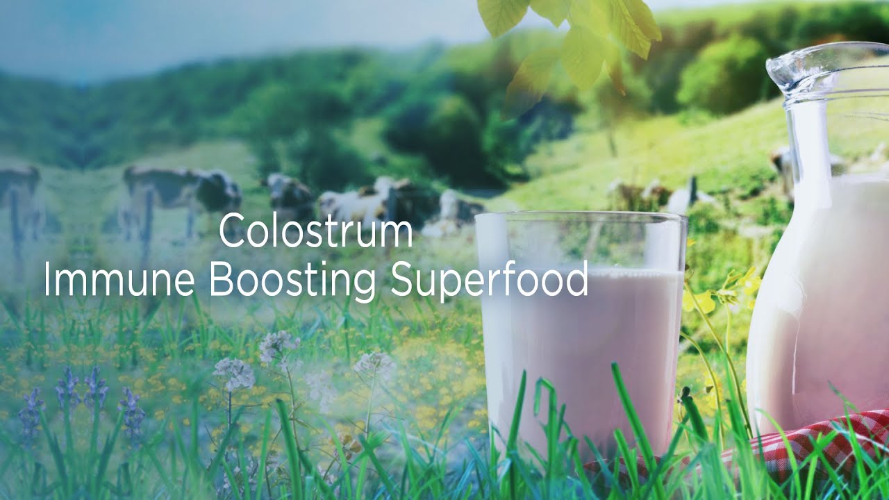 Colostrum Your Immune Boosting Super food