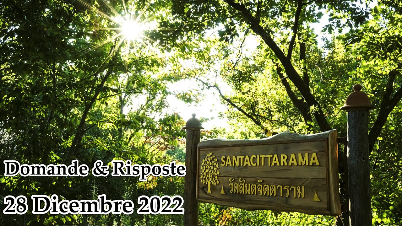 Ajahn Chandapalo - Dhamma Domande e Risposte [ Mercoledì 28 Dicembre 2022 ]