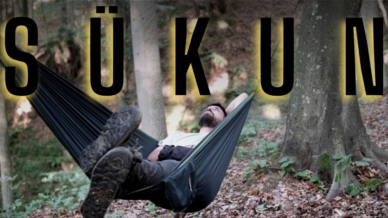 Sükun