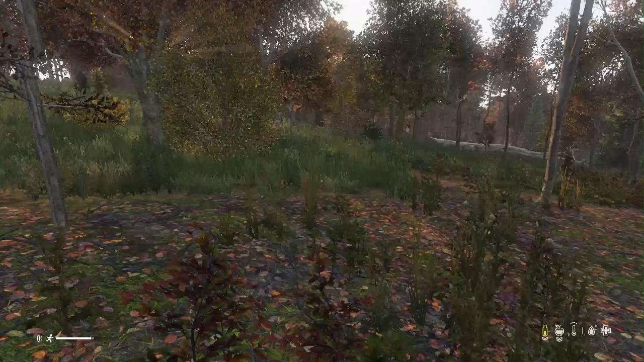 DayZ_20260110132852