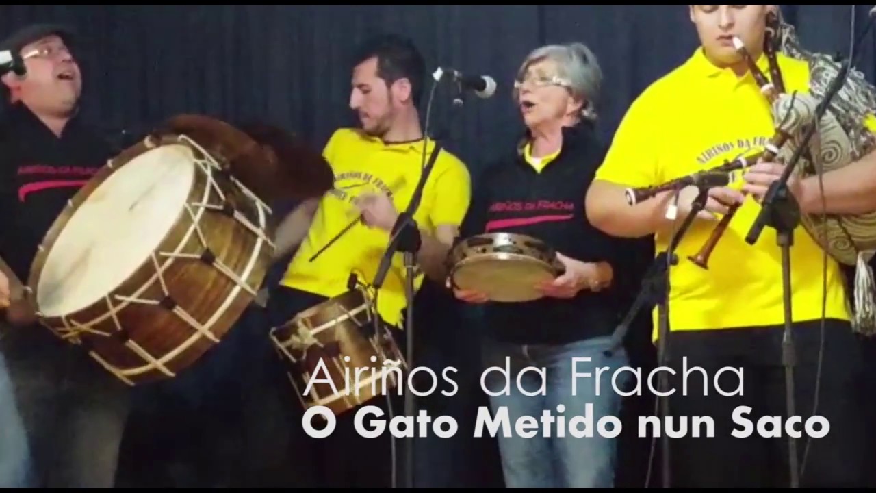 O gato metido no saco