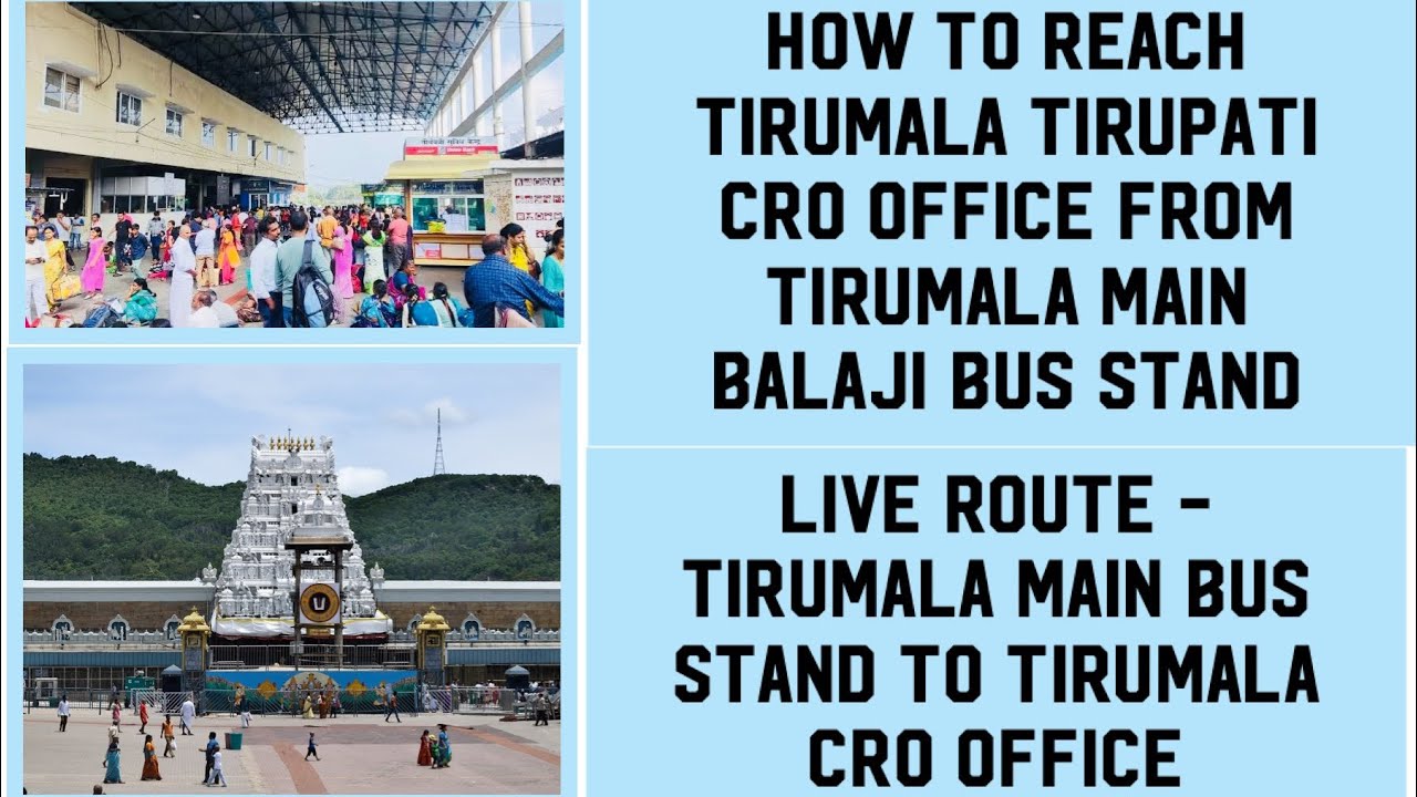 How to reach CRO office from Tirumala Main Bus Stand| Balaji Bus Stand to CRO office