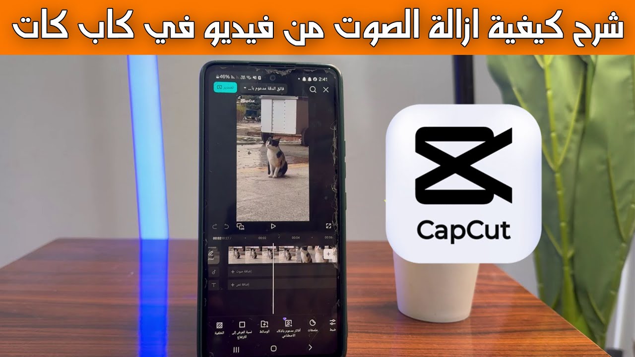 شرح كيفية ازالة الصوت من فيديو في كاب كات خطوة بخطوة