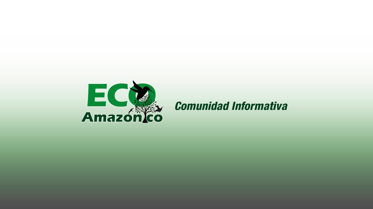 MUERTE VIOLENTA EN EL CEMENTERIO