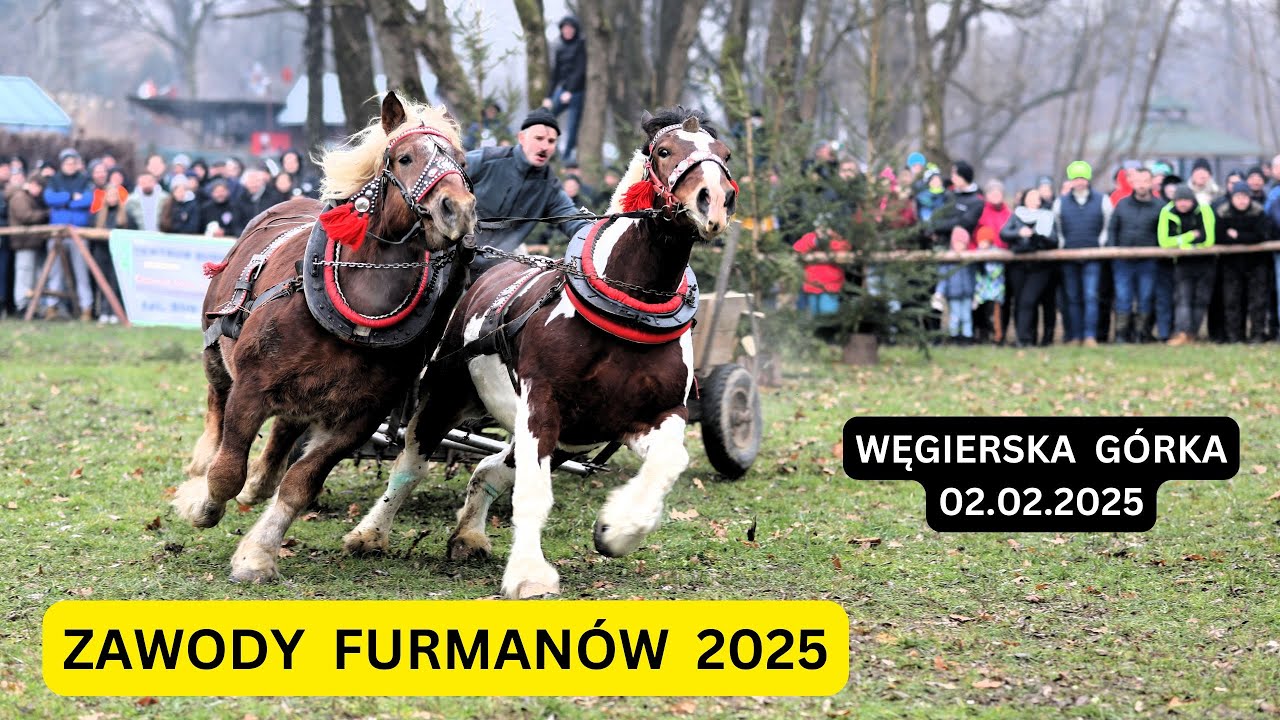 ZAWODY FURMANÓW 2025 - WĘGIERSKA GÓRKA 02.02.2025