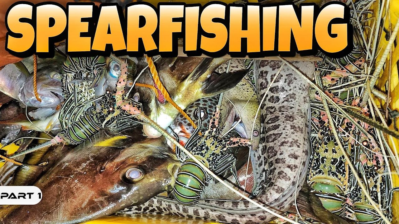 EP983-P1 - Spearfishing in Lubang Island