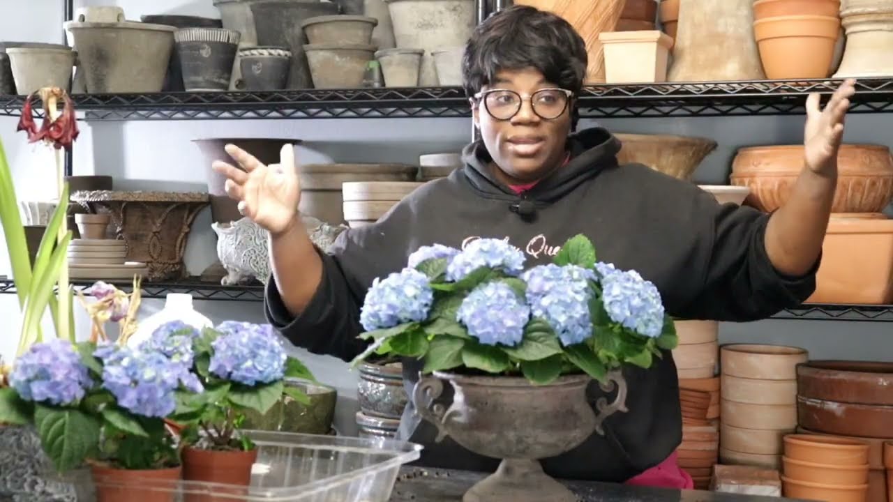 Вирусный чизкейк в TikTok 🎂 🥮 Кеке Джонс // Размножение гортензий / Работа в теплице // КОРОЛЕВА ...