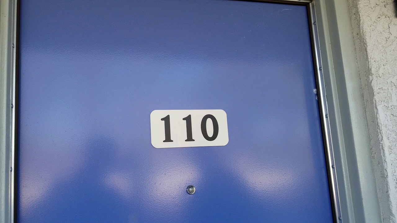 Live bedbugs captured crawling in room at Motel 6 Federal Blvd Denver, CO.